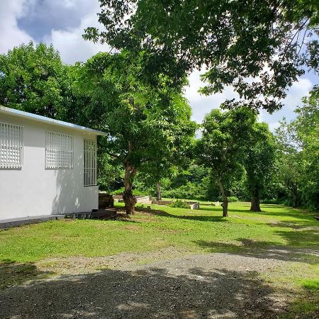 Crab Island Adventures Apartments Vieques Exterior foto