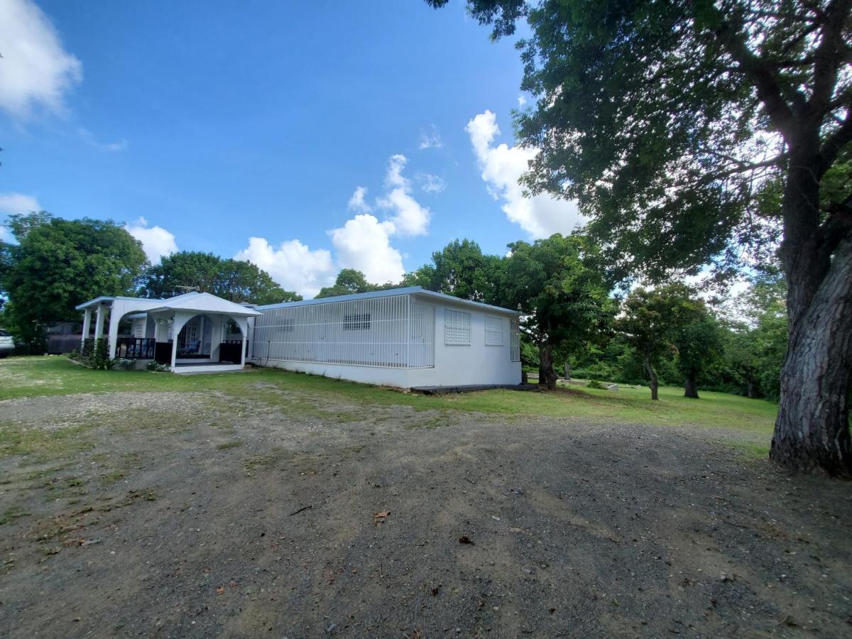 Crab Island Adventures Apartments Vieques Exterior foto